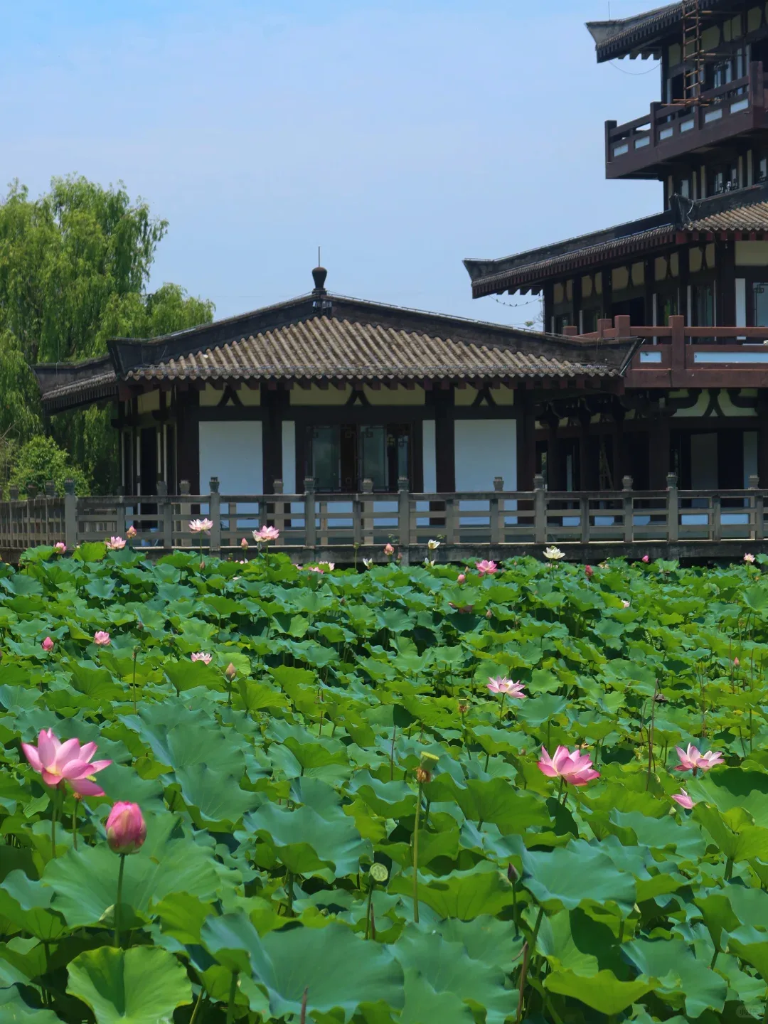 Qingbaijiang Phoenix Lake Tourist Scenic Area
