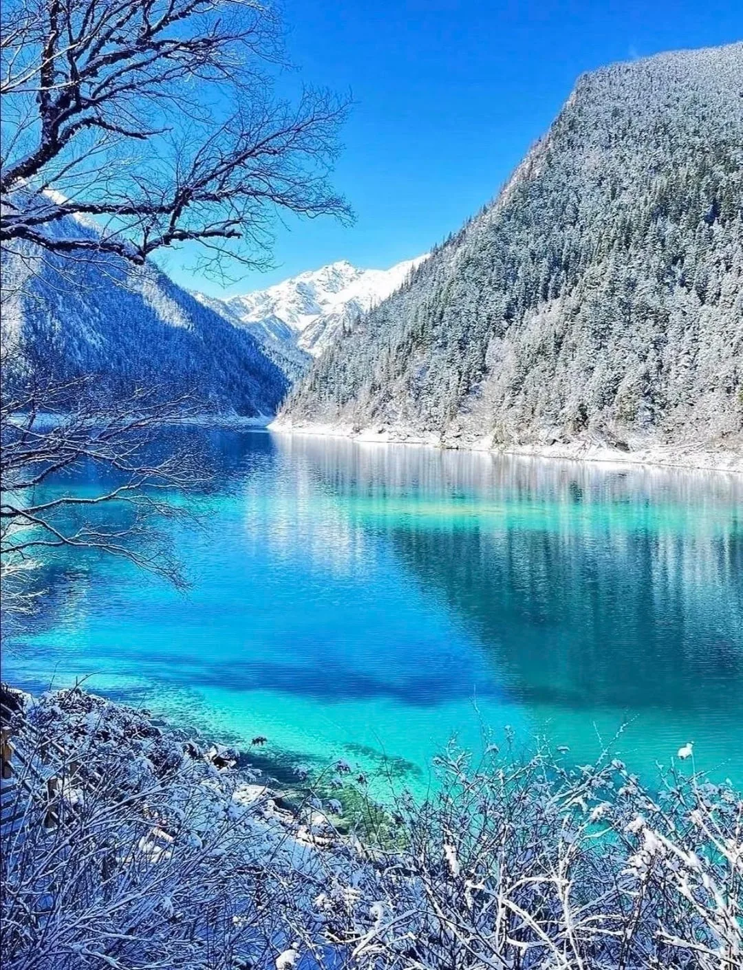 How Bad Is Altitude Sickness at Jiuzhaigou, Huanglong, Siguniang Mountain, and Daocheng Yading?