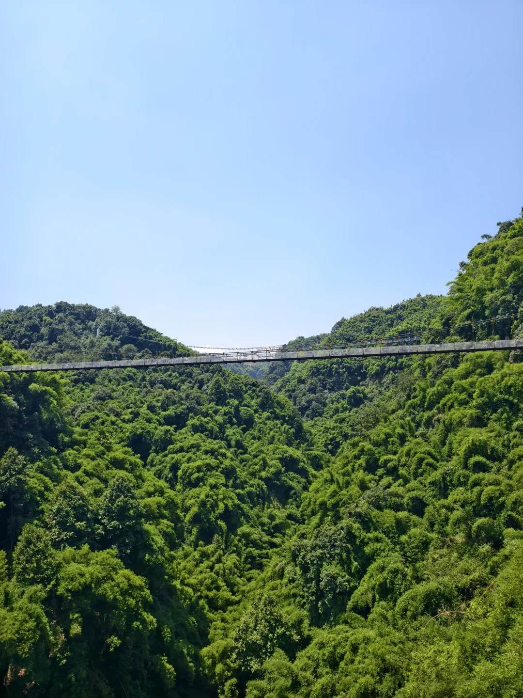Western Sichuan Bamboo Sea Scenic Area