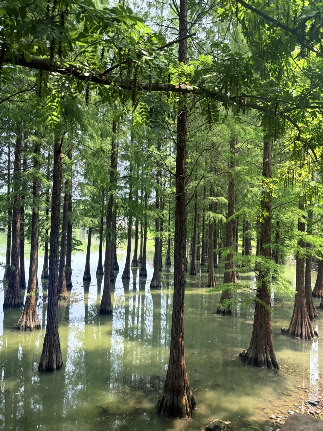 Qingbaijiang Phoenix Lake Tourist Scenic Area