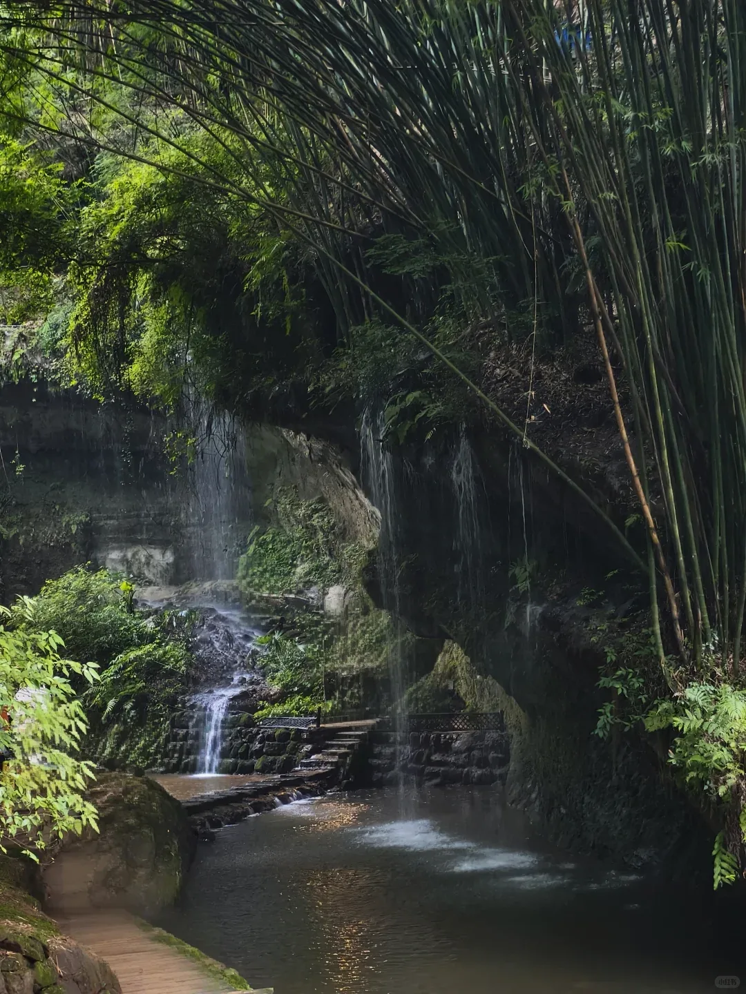 Western Sichuan Bamboo Sea Scenic Area